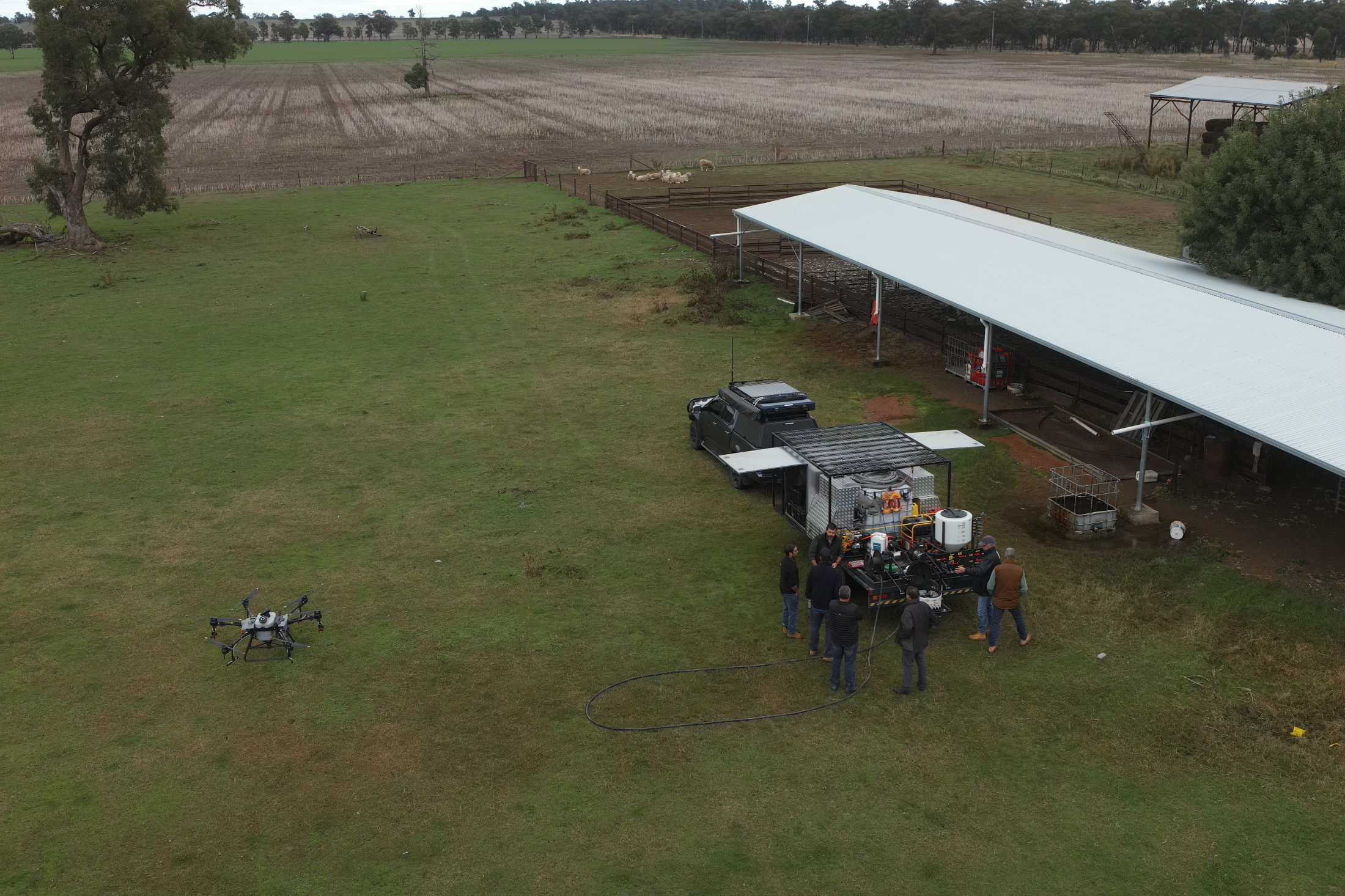 Remote Pilot Licence (RePL)